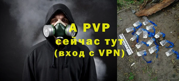 прущие крисы Беломорск