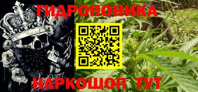 гашик Берёзовский