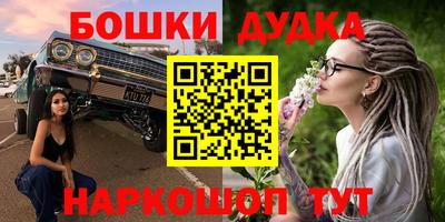 гашик Берёзовский