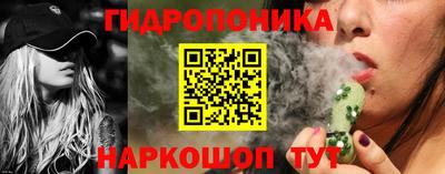 гашик Берёзовский