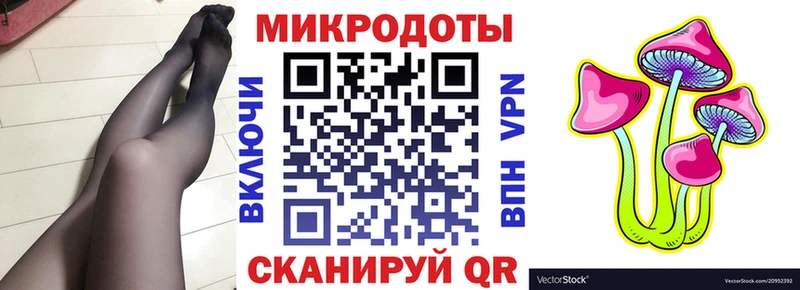 ссылка на мегу ONION  как найти наркотики  Городец  Галлюциногенные грибы Cubensis 