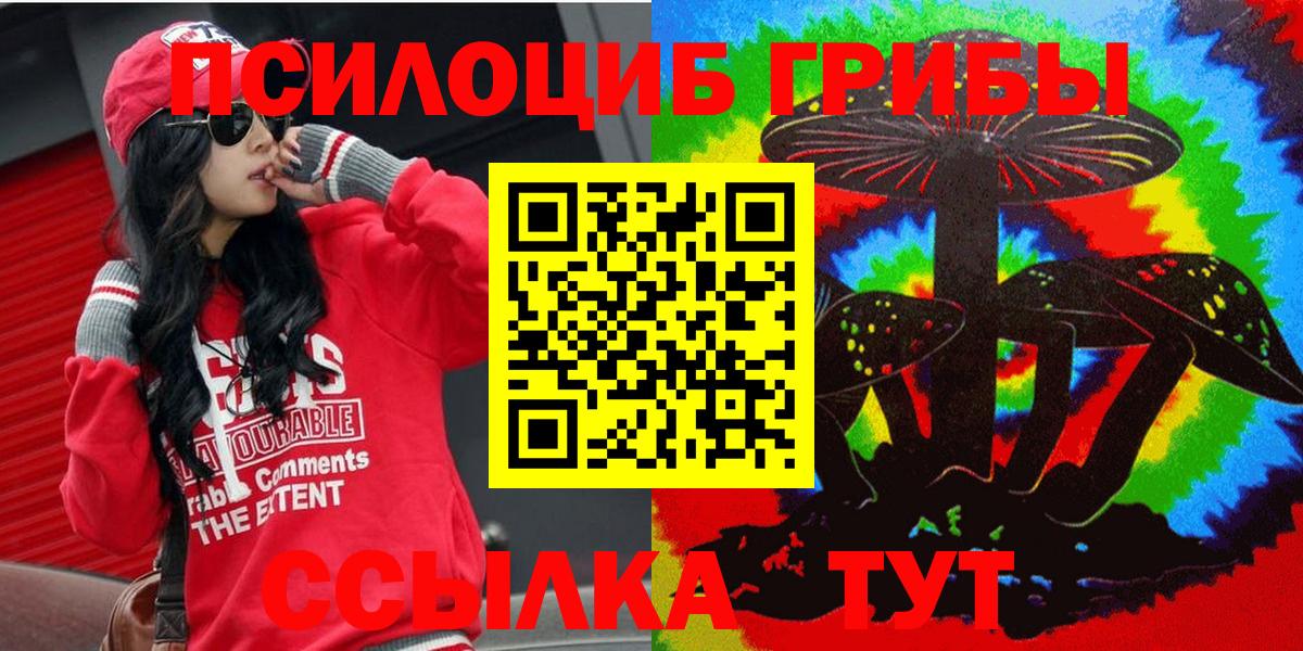 закладки  Галлюциногенные грибы MAGIC MUSHROOMS  Вход с VPN  Городец 