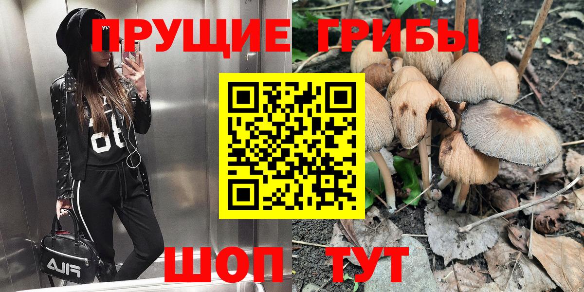 ГАШ Городец